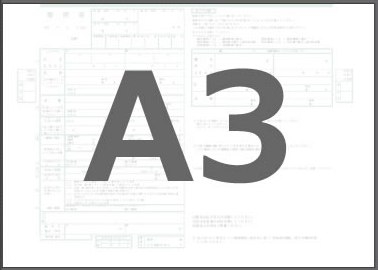 a3.jpg